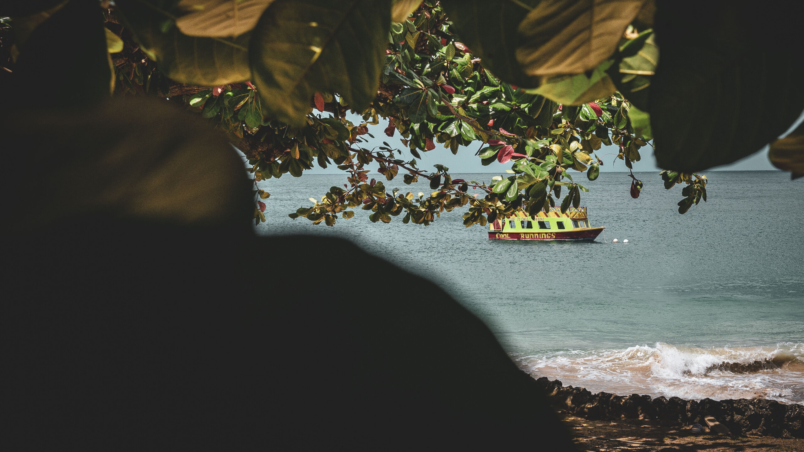 From Under the Almond Tree